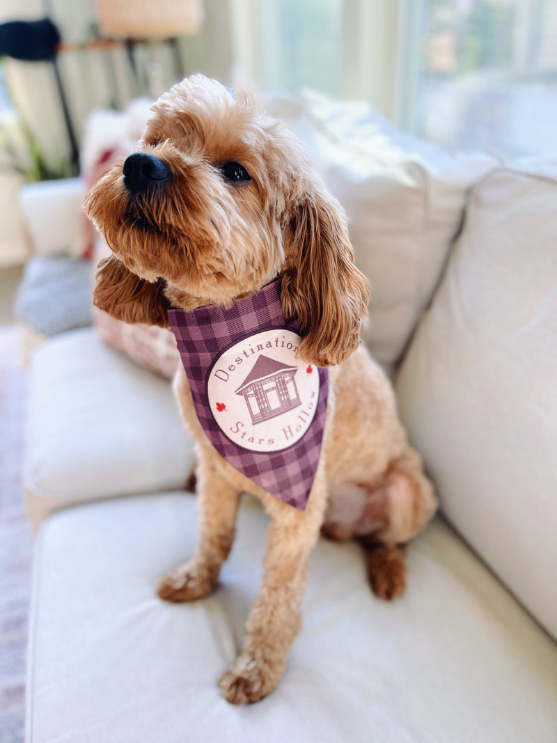 Destination Stars Hollow Dog Bandana