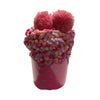 Cupcake Socks - Fuchsia