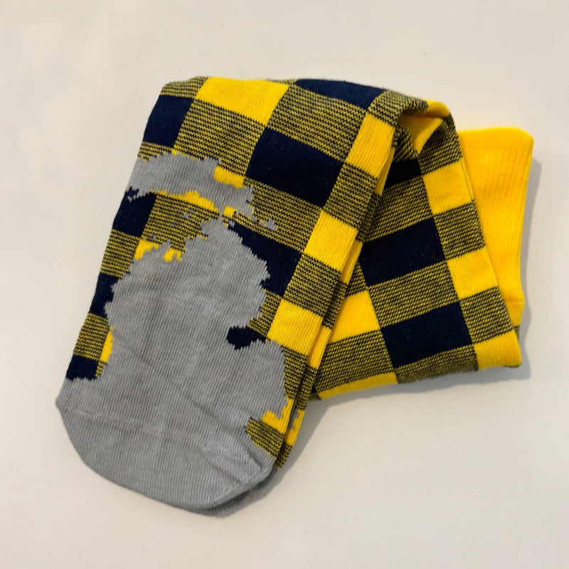 State of Michigan Crew Sock - Maize/Blue