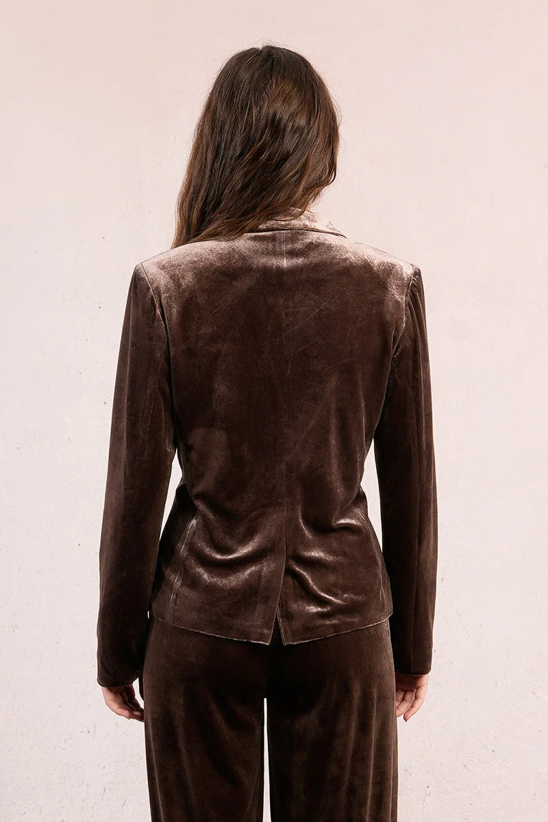 Tailored Collar Velvet Blazer - Brown