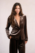 Tailored Collar Velvet Blazer - Brown